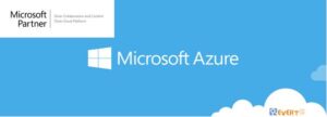 Partner Silver Microsoft